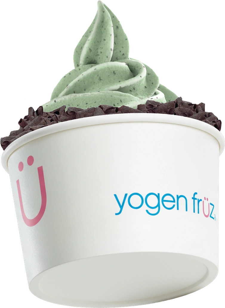 Mint Chocolate Chip